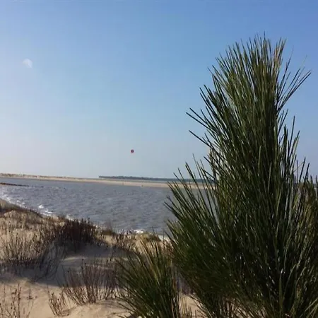 House Charmante Maisonette - Ronce-Les-Bains - Proche Plages *